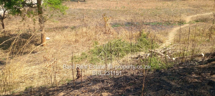 Residential stand overlooking a dam (Sole Mandate)
