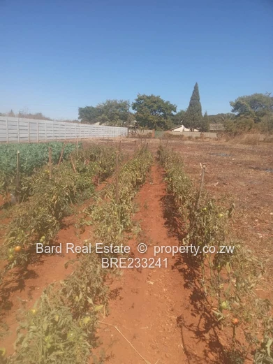 Ready to build low density stand, Knowe, Norton